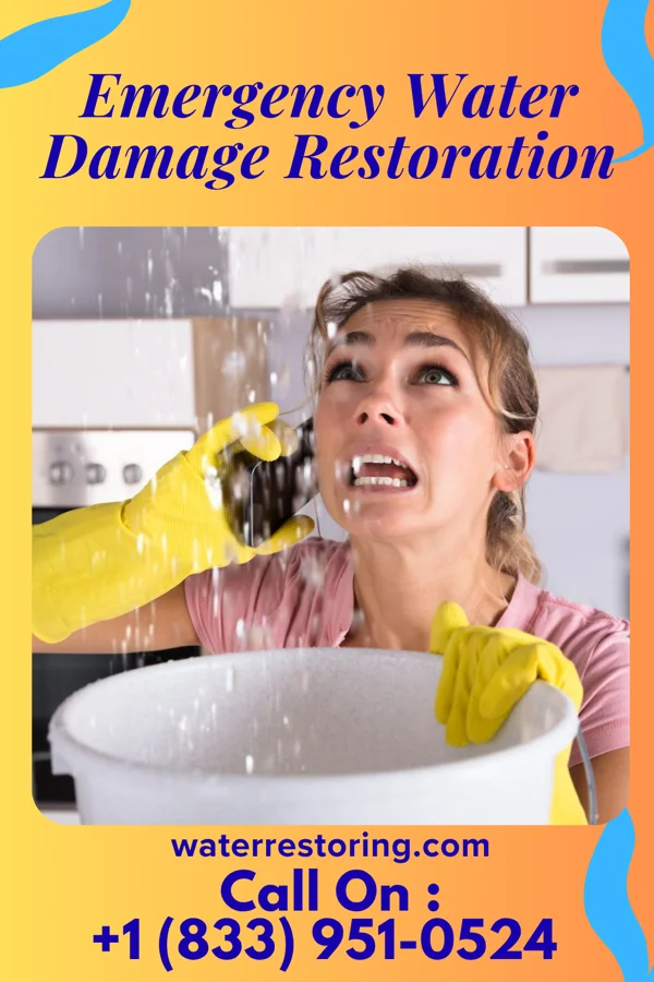 Emergency Water Damage Restoration in Alamo Heights, TX
